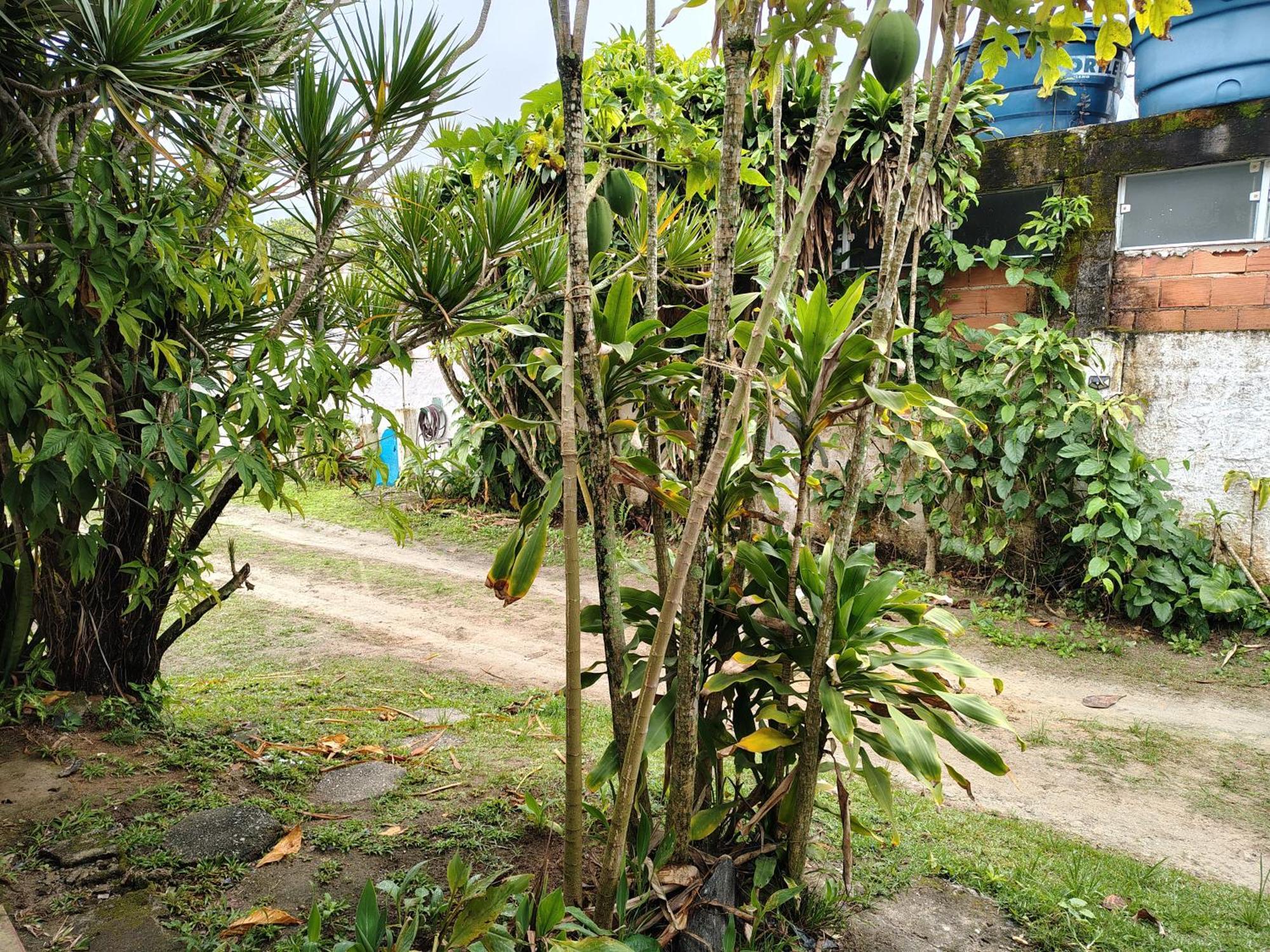 Pousada Lambaris Pereque Guaruja Exterior photo
